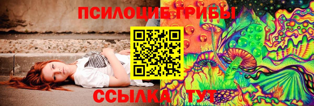 Псилоцибиновые грибы GOLDEN TEACHER  Вход с VPN  Кудымкар 